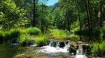 photo thumbnail #7