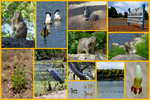 photo thumbnail #13