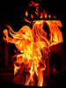 photo thumbnail #11