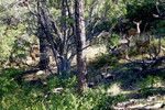 photo thumbnail #15