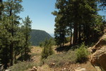 photo thumbnail #13