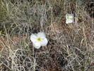 photo thumbnail #15