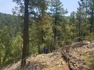 photo thumbnail #3