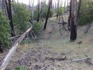 photo thumbnail #5
