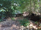 photo thumbnail #7