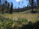 photo thumbnail #5