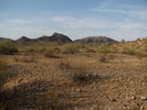 photo thumbnail #1