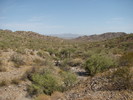 photo thumbnail #3