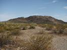 photo thumbnail #4