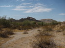 photo thumbnail #6