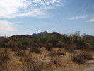 photo thumbnail #7