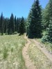 photo thumbnail #1