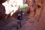 photo thumbnail #3