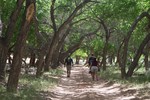 photo thumbnail #6