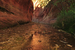 photo thumbnail #12