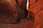 photo thumbnail #13
