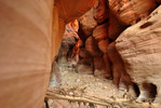 photo thumbnail #14