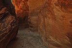photo thumbnail #15