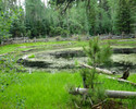photo thumbnail #7