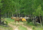 photo thumbnail #10