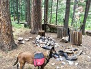photo thumbnail #6