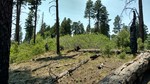 photo thumbnail #1