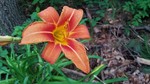 photo thumbnail #4