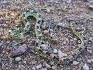 photo thumbnail #2