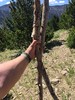 photo thumbnail #3
