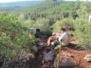 photo thumbnail #4