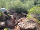 photo thumbnail #3