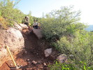 photo thumbnail #1