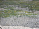 photo thumbnail #12