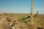 photo thumbnail #2