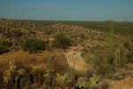 photo thumbnail #5
