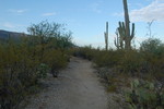 photo thumbnail #1