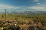 photo thumbnail #3