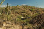 photo thumbnail #8