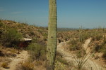 photo thumbnail #12