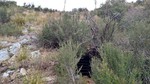 photo thumbnail #6