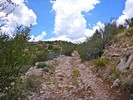 photo thumbnail #13