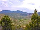 Featured Full Photo