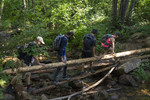 photo thumbnail #1