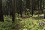 photo thumbnail #10