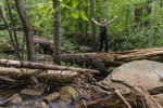photo thumbnail #14