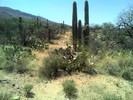 photo thumbnail #2
