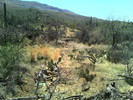 photo thumbnail #3