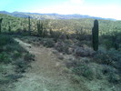 photo thumbnail #5