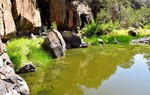 photo thumbnail #1