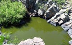 photo thumbnail #6
